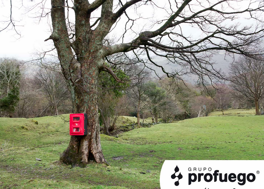 incendios forestales