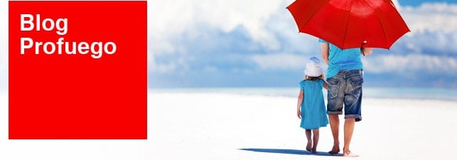 Blog de seguridad Profuego