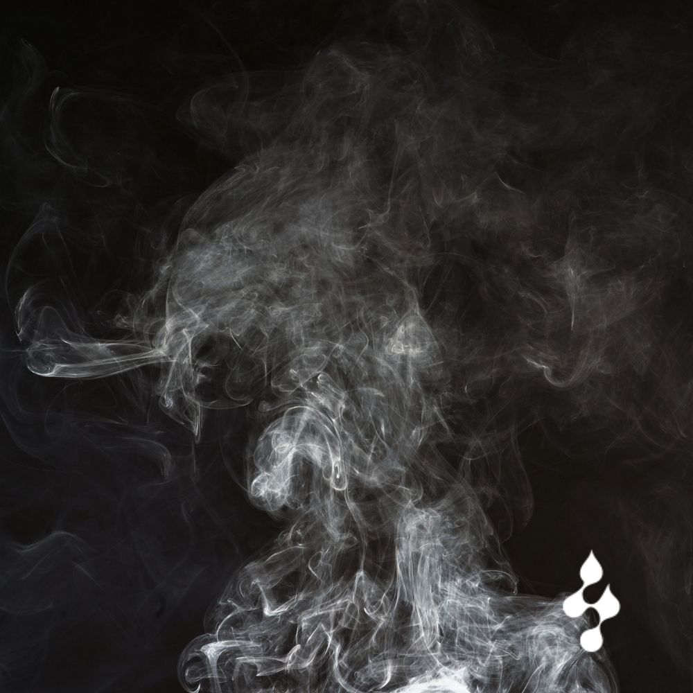 Humos y gases en la combustión