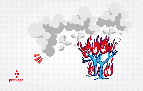 Imagen destacada blog profuego humos y gases en la combustion